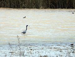 100302_Zacatec 066